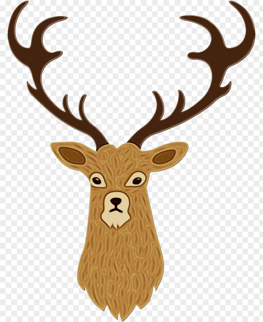 Moose Fawn Reindeer PNG