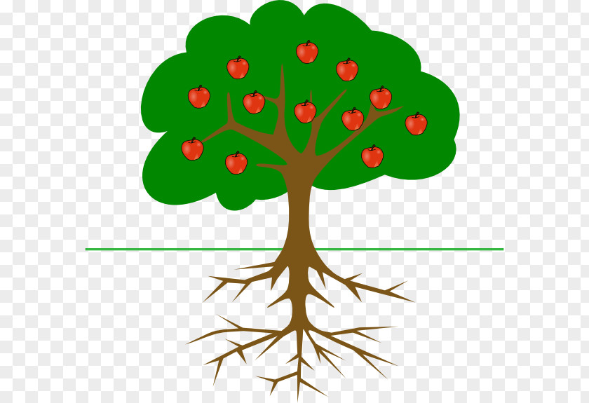 Picture Of Apple Trees Tree Root Clip Art PNG