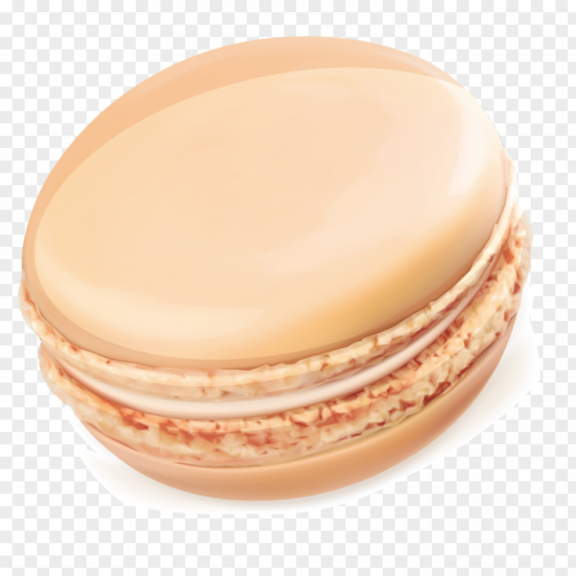 Vector Biscuit Macaroon Cookie PNG