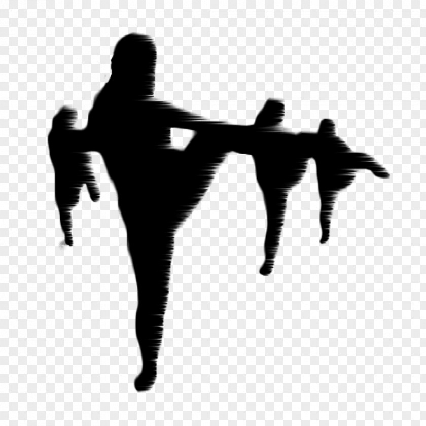 Contemporary Dance FUN-KEY & Theatre Modern Acrobatics PNG