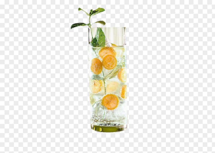 Gin Fizz Cocktail Caipirinha Spritzer PNG