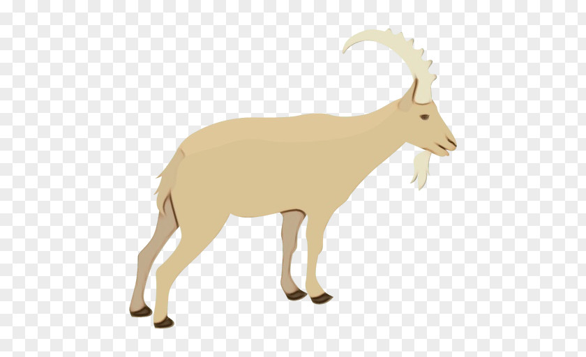 Goat Barbary Sheep Antelope Deer PNG