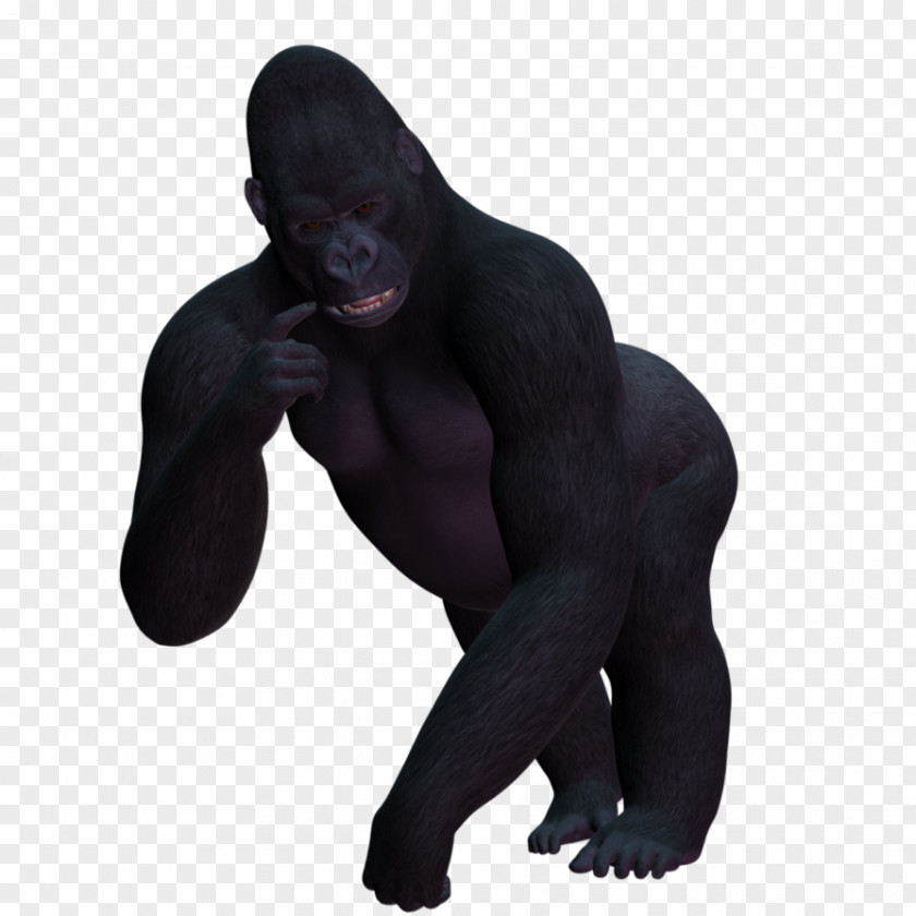 Gorilla Western Transparency And Translucency Clip Art PNG