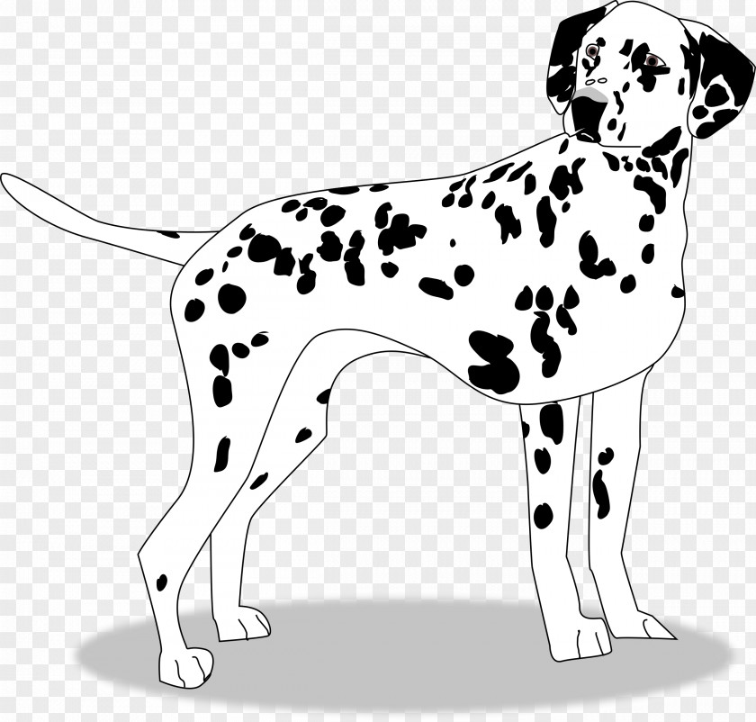 Puppy Dalmatian Dog Breed Companion Clip Art PNG
