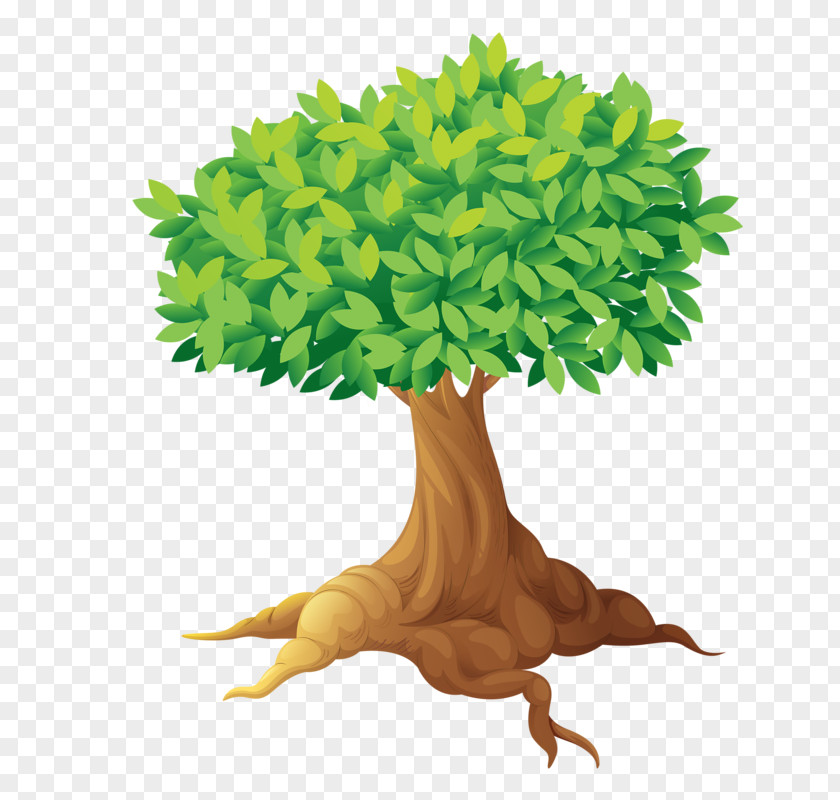 Sunday School Dog Tree Clip Art PNG