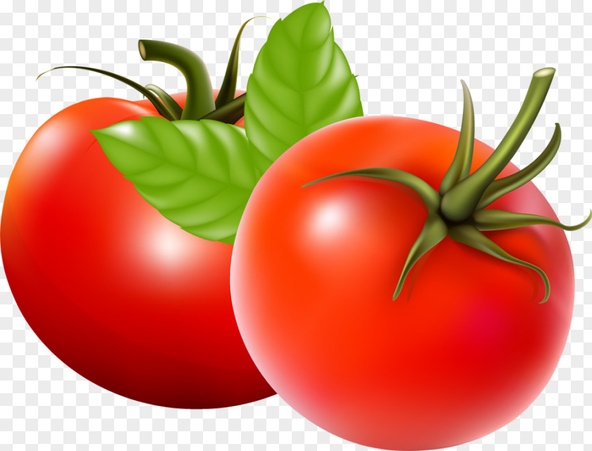 Tomato Leaf Juice Soup Vegetable PNG