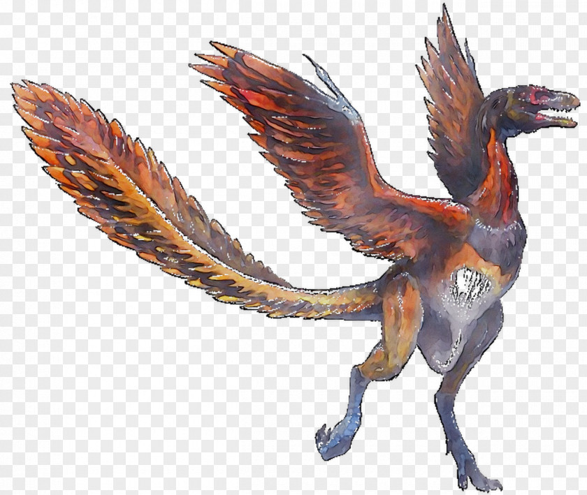 Bird Chicken Archaeopteryx Dinosaur Ankylosaurus PNG