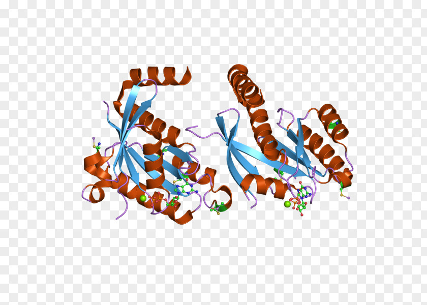 GEM Protein Gene Guanosine Triphosphate PNG