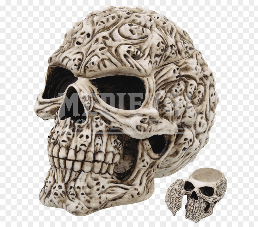 Skull Calavera Human Symbolism Skeleton Art PNG
