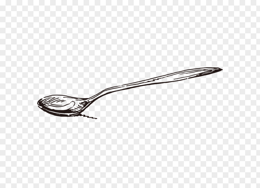 Vector Sketch Spoon Drawing Euclidean PNG