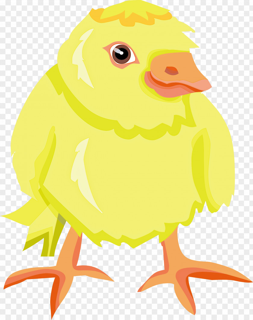 Baby Chicken PNG