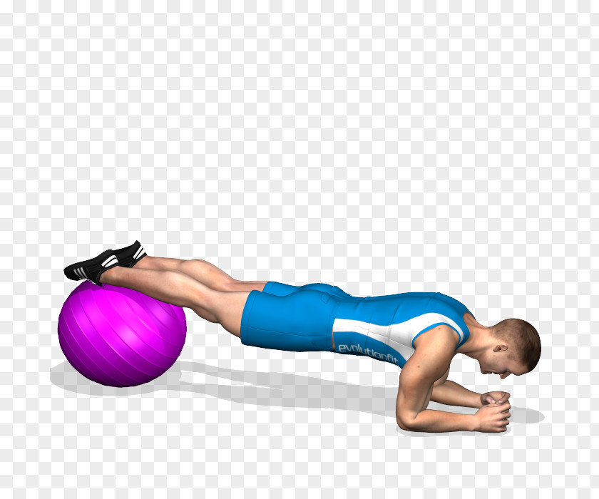 Ball Exercise Balls Pilates Crunch Plank PNG
