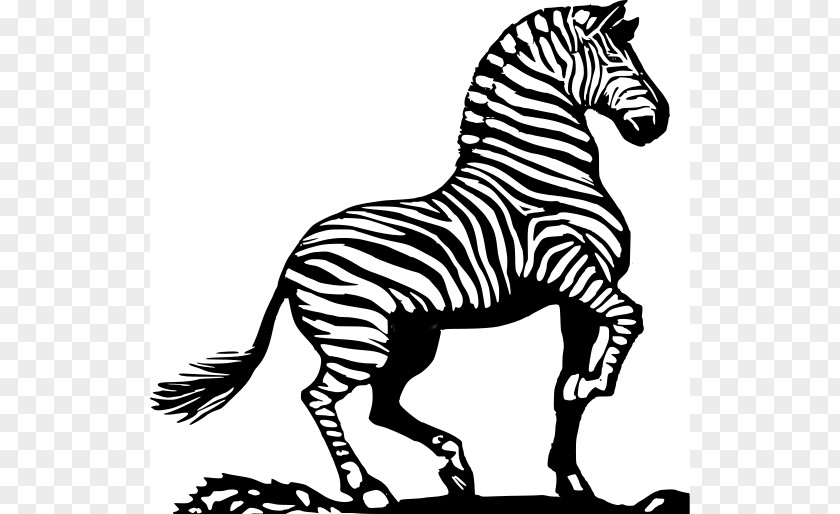 Bold Line Cliparts Zebra Horse Black And White Clip Art PNG