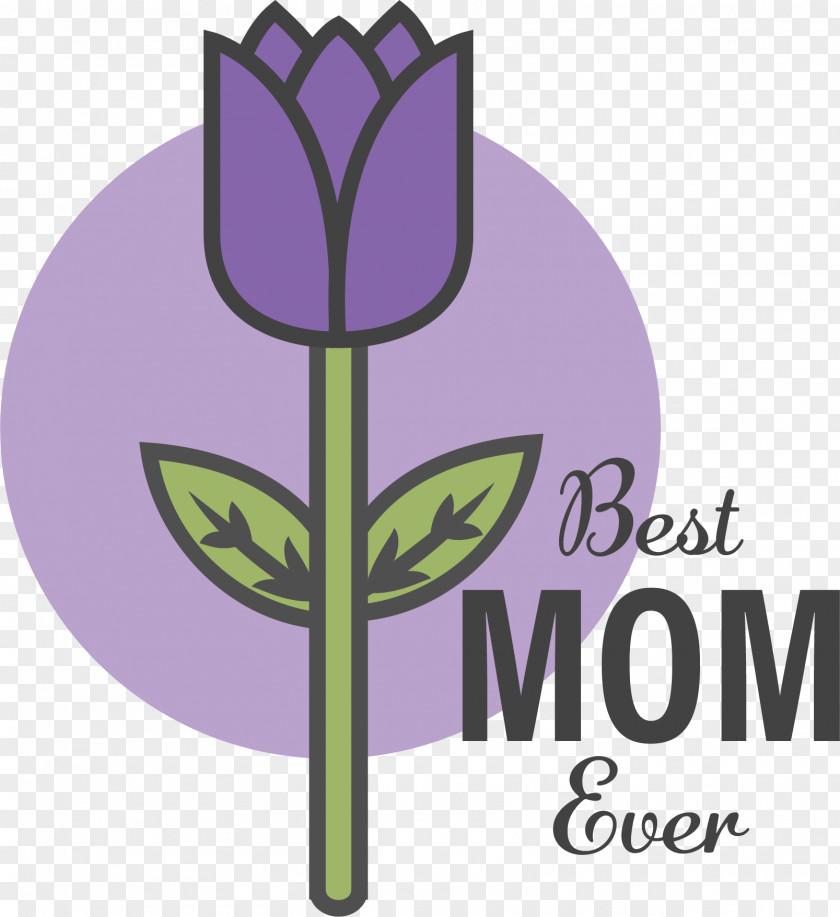 Floral Design PNG