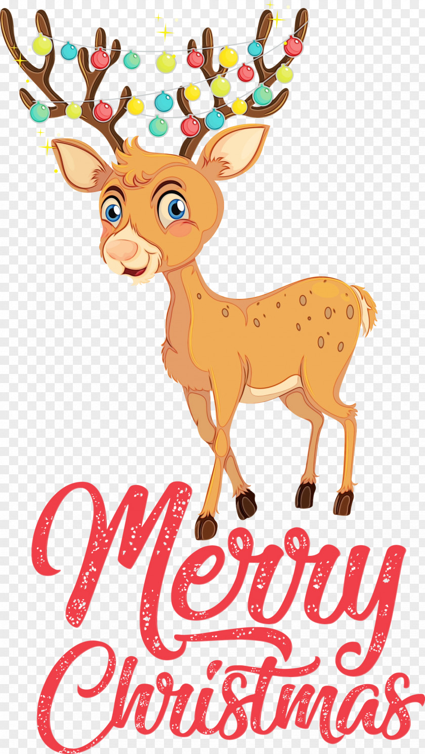 Reindeer PNG