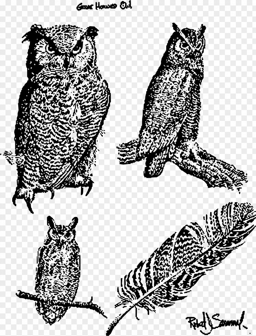 Owls Great Horned Owl Bird Of Prey Snowy PNG
