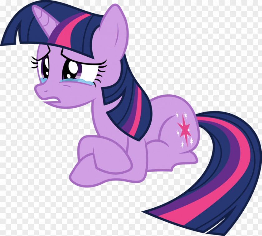 Twilight Sparkle Pinkie Pie Rarity Rainbow Dash Applejack PNG
