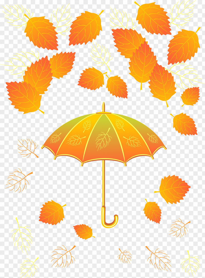 Autumn Umbrella T-shirt Leaf PNG