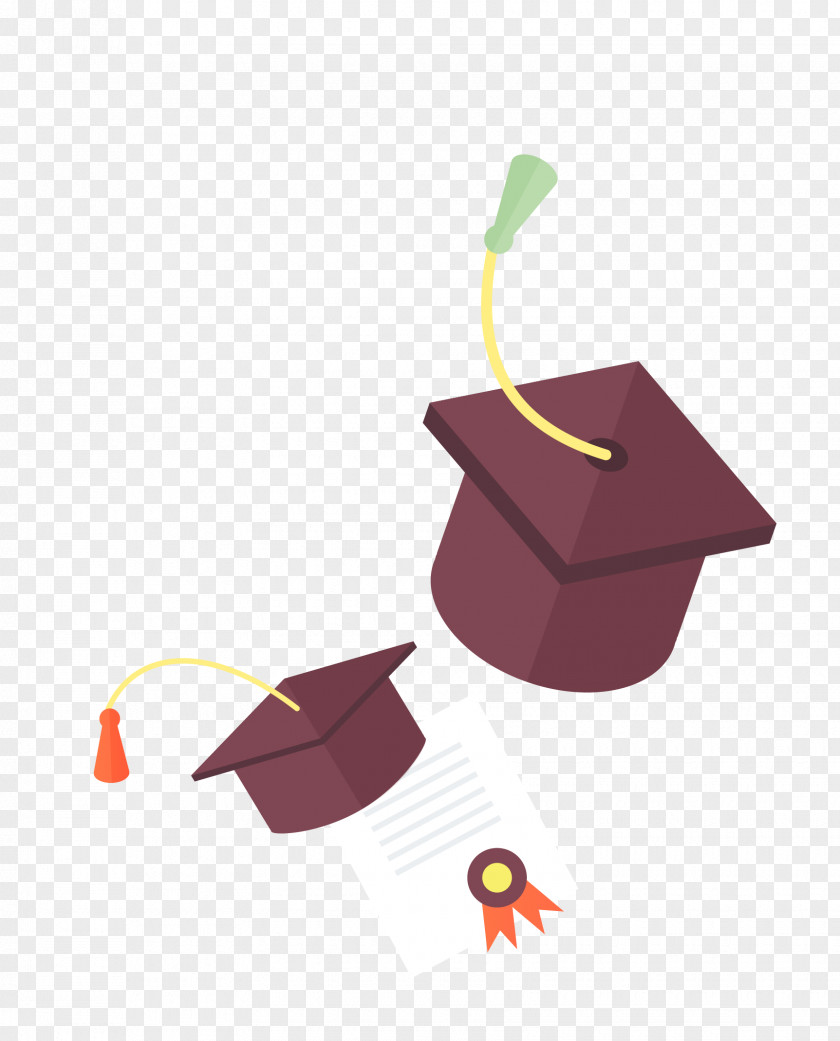 Bachelor Of Cap Vector Material Bachelors Degree Academic Licentiate Illustration PNG