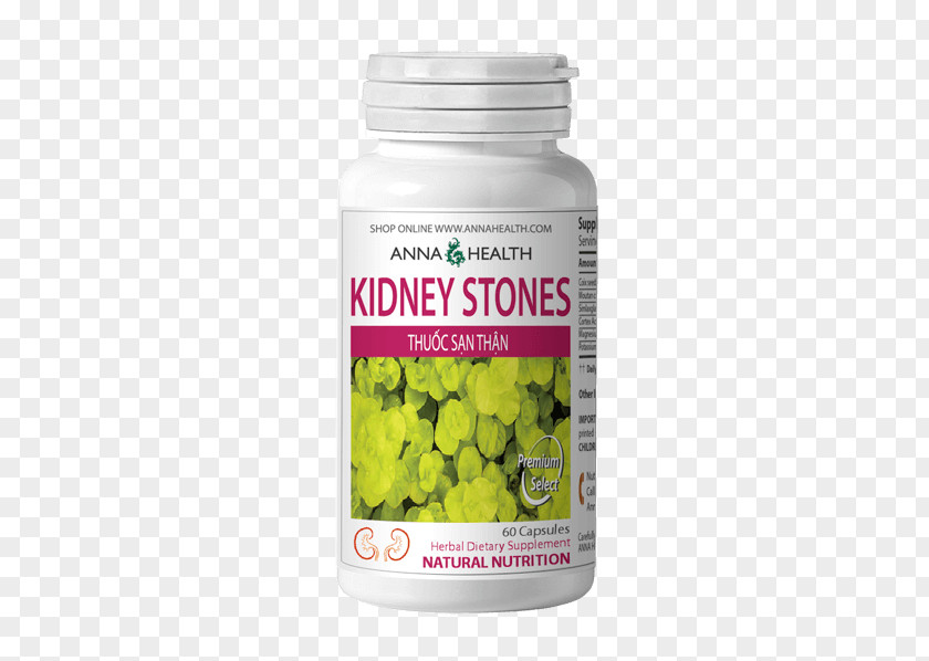 Kidney Stone Dietary Supplement Medicine Health Acupuncture PNG