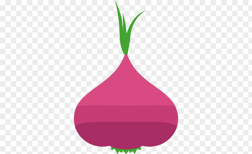 Onion Red Vegetable PNG