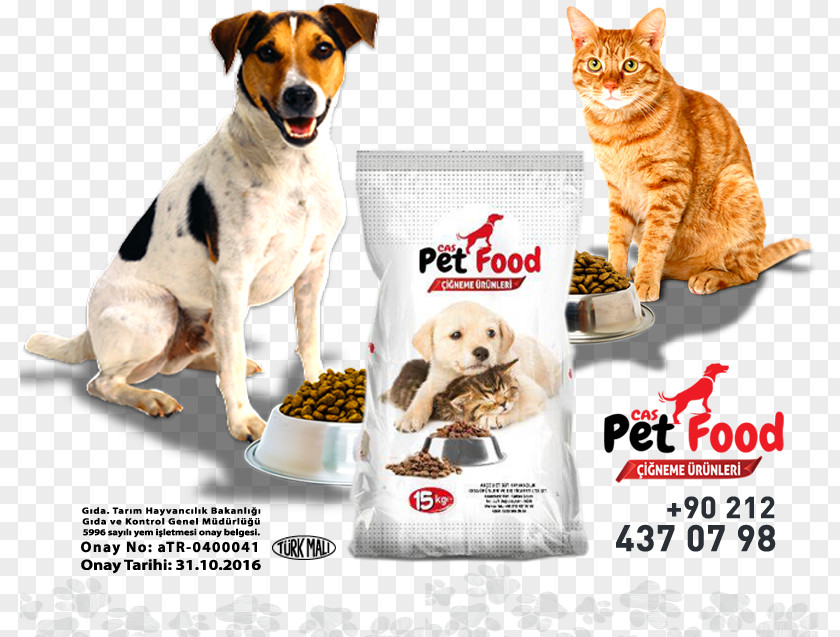 Puppy Dog Breed Whiskers Pet Food PNG