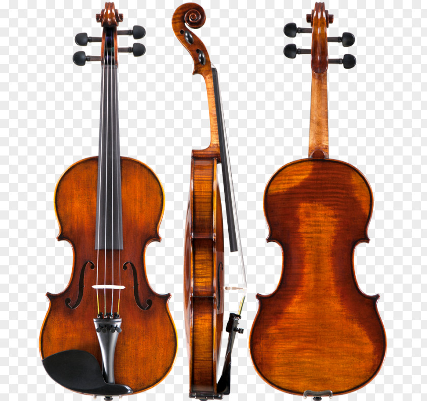 Violin Player Antonio Violins & Ukuleles String Instruments Viola PNG