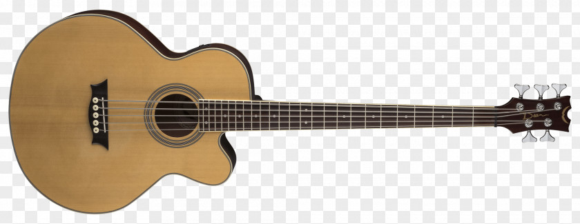 Bass Guitar Twelve-string Steel-string Acoustic Acoustic-electric String Instruments PNG