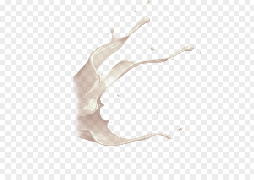 Drawing Branch White Nose Beige PNG