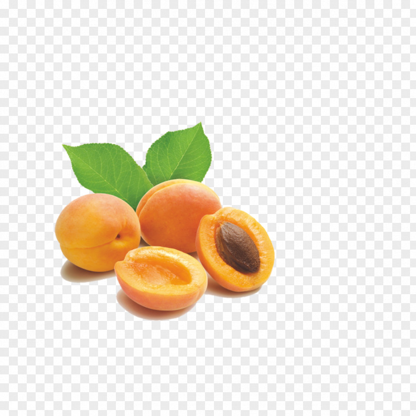 Fresh Peaches Apricot Kernel Amygdalin Almond Nut PNG