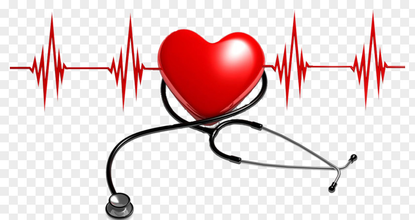 Health Insurance Cardiovascular Disease Care PNG