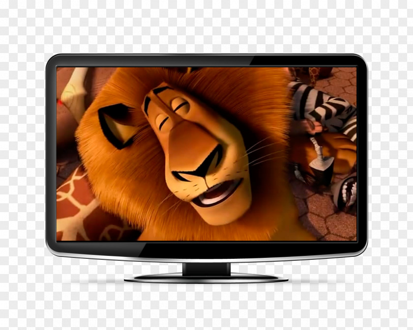 Madagascar Marty LCD Television Display Device Flat Panel Electronics PNG