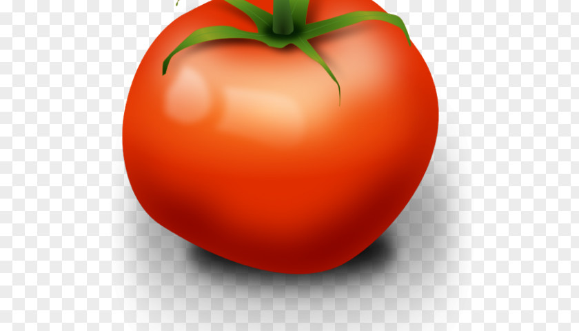 Vegetable Plum Tomato Clip Art Image PNG