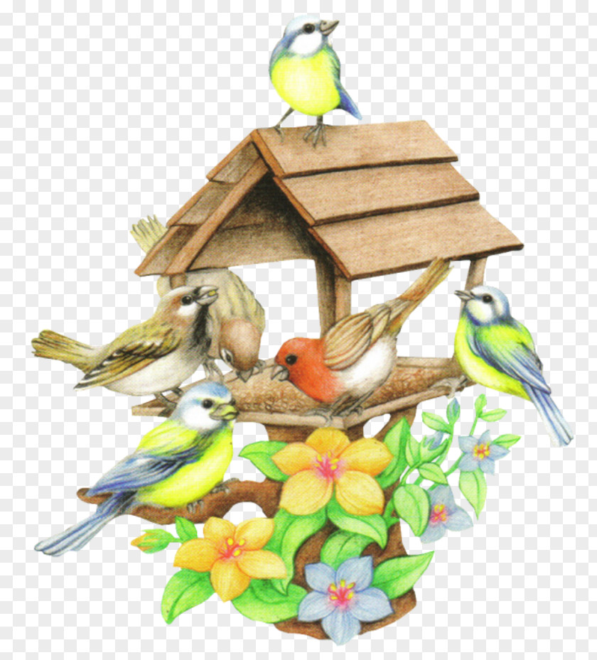 Bird Animated Film Nest Box PNG