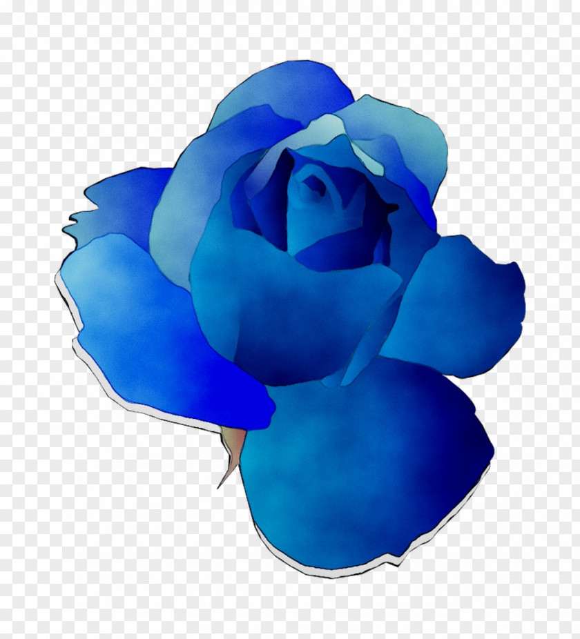 Blue Rose Garden Roses Cut Flowers PNG