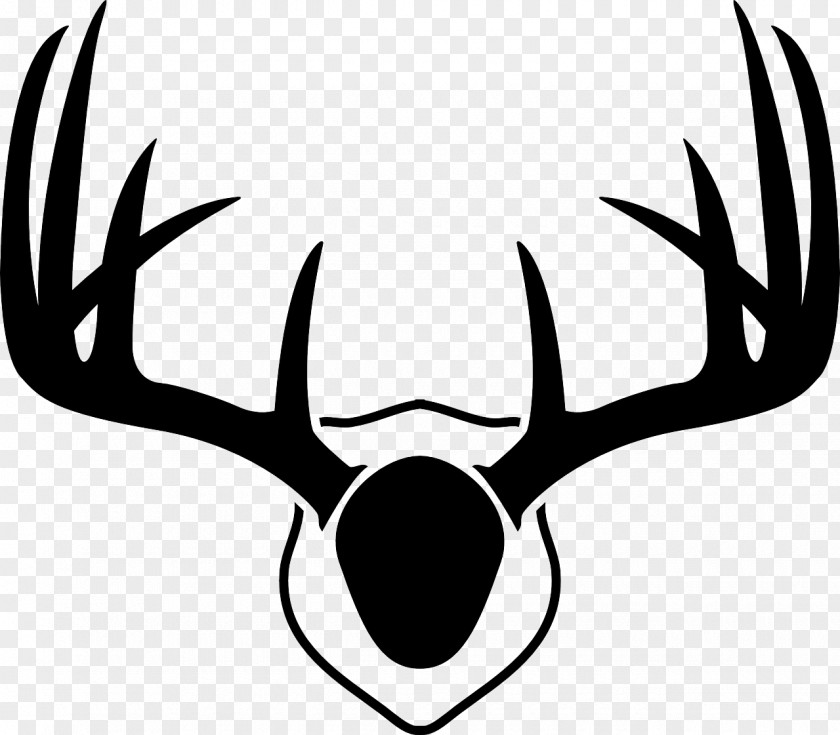 Deer Reindeer White-tailed Antler Moose PNG