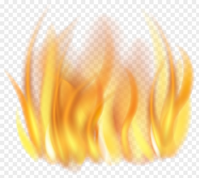 Fire Clip Art Transparency Image PNG