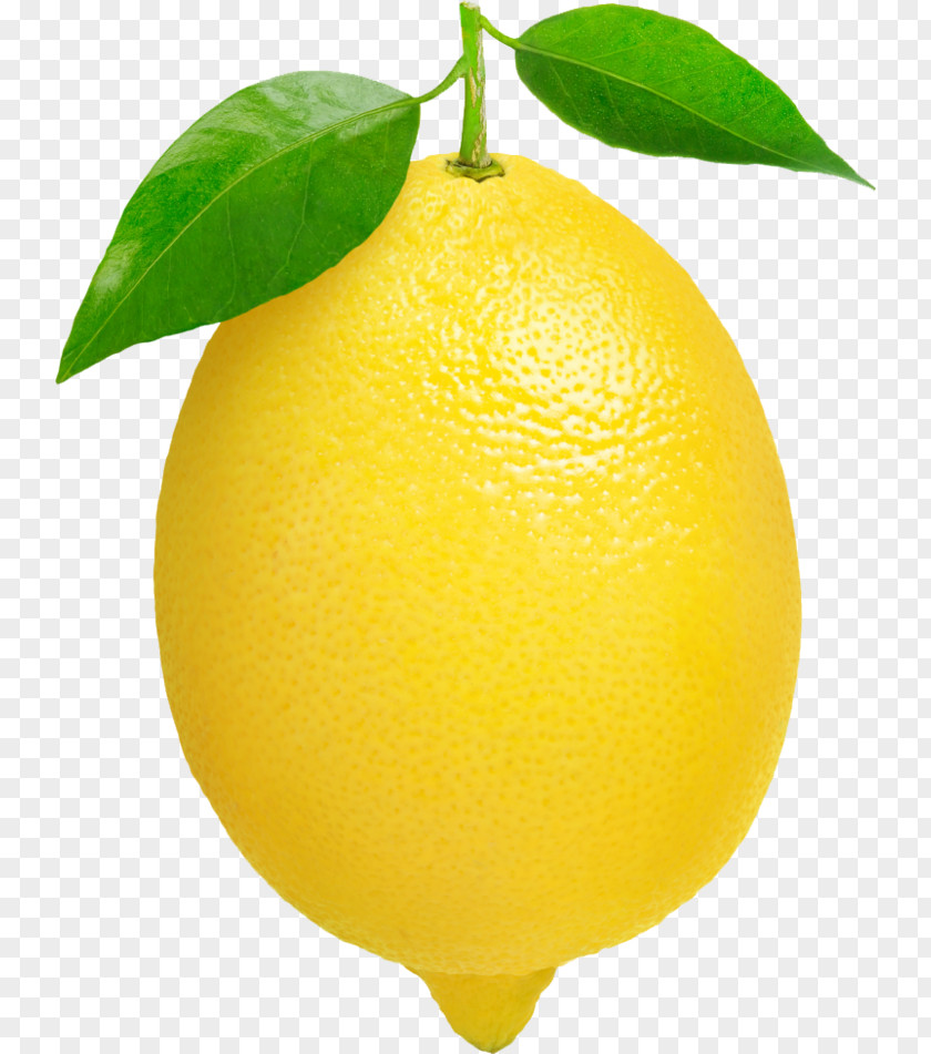 Fresh Lemon Clip Art PNG