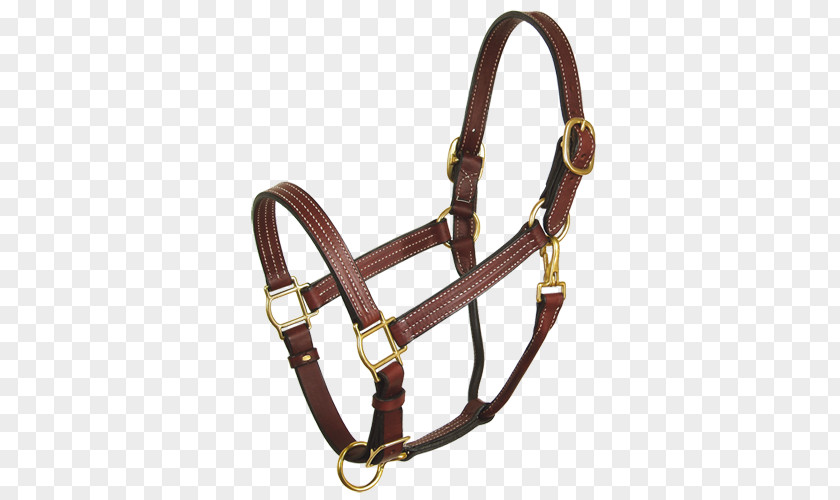 Horse Halter Leather Bridle Horze PNG