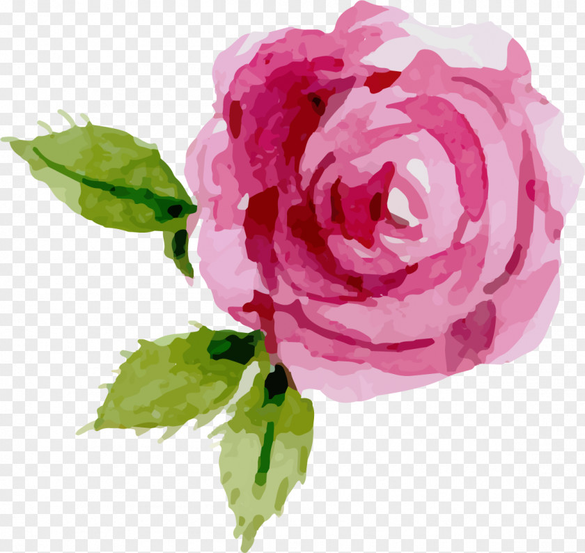 Rose Leslie Watercolor Painting Flower PNG
