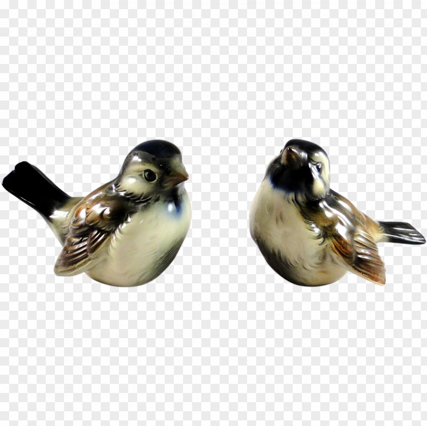 Sparrow Duck Water Bird Goose Cygnini PNG
