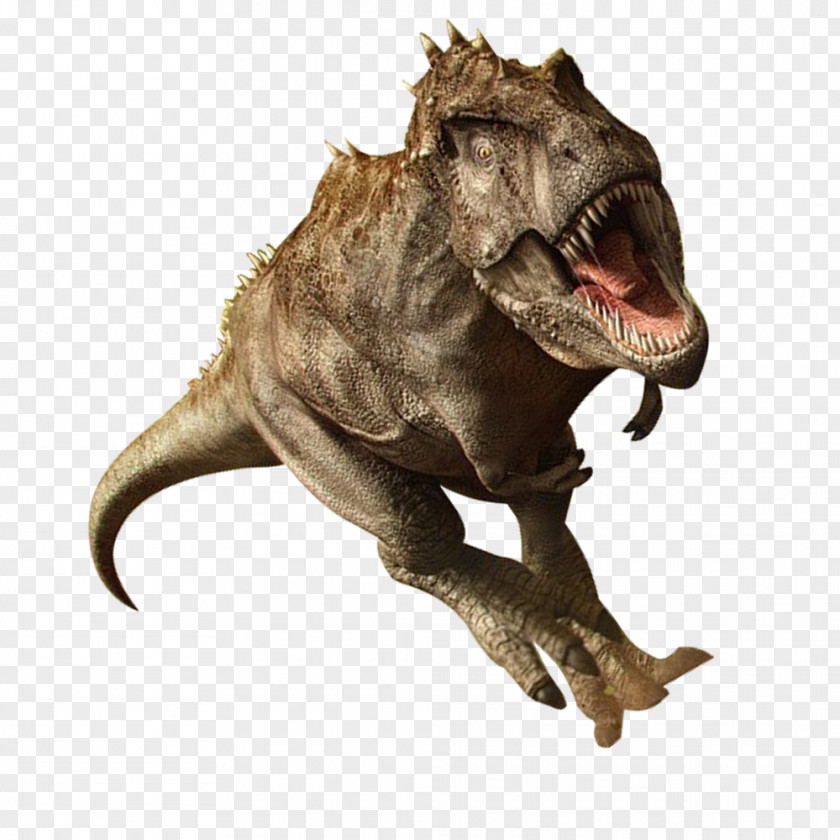 Dinosaur Tyrannosaurus Parasaurolophus Nanotyrannus Corythosaurus Mosasaurus PNG