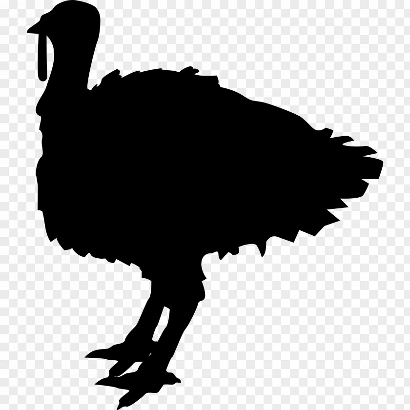 Turkey Bird Black Jerky Meat Clip Art PNG