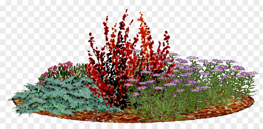 Berberis Thunbergii Flower Garden Cut Flowers Shrub Ornamental Plant PNG