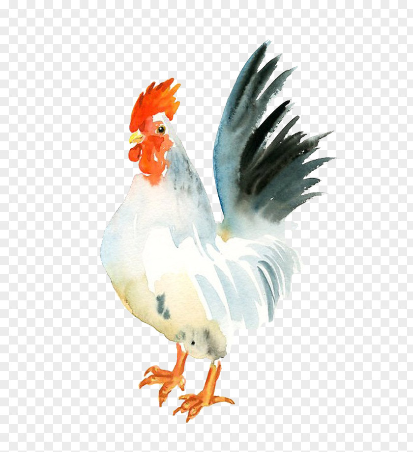 Big White Cock Chicken Watercolor Painting Rooster Paper PNG