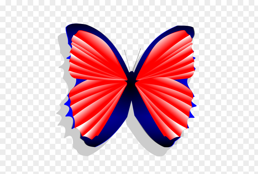 Butterfly Insect Drawing Blue Moth PNG