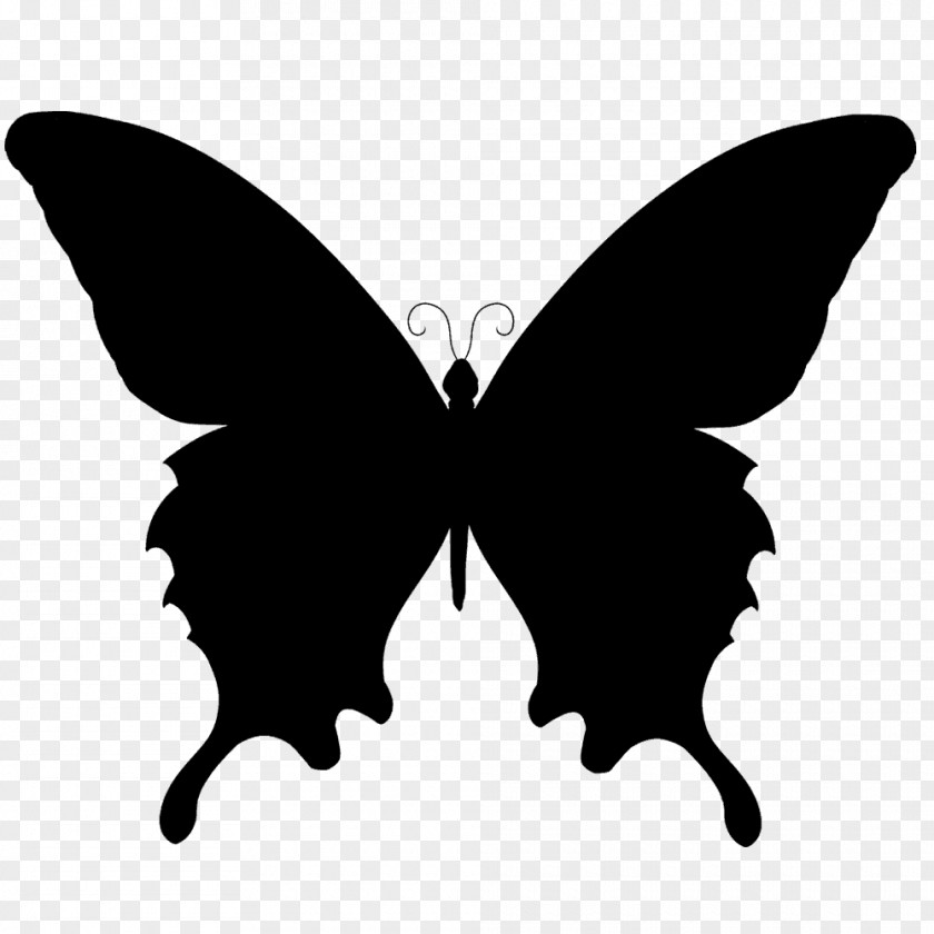 Butterfly Silhouette PNG