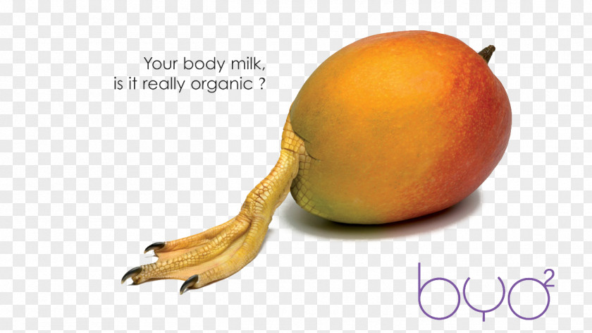 Creative Mango Fruit Long Legs Organic Food Milk Advertising Agency PNG