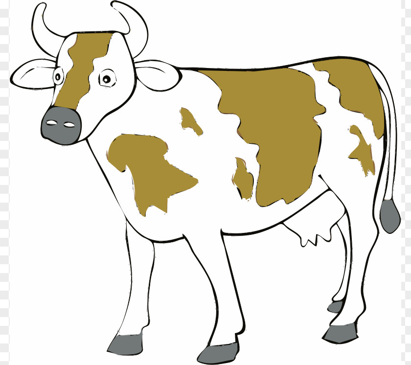 Dairy Cow Clipart Jersey Cattle Holstein Friesian Angus Shorthorn Beef PNG