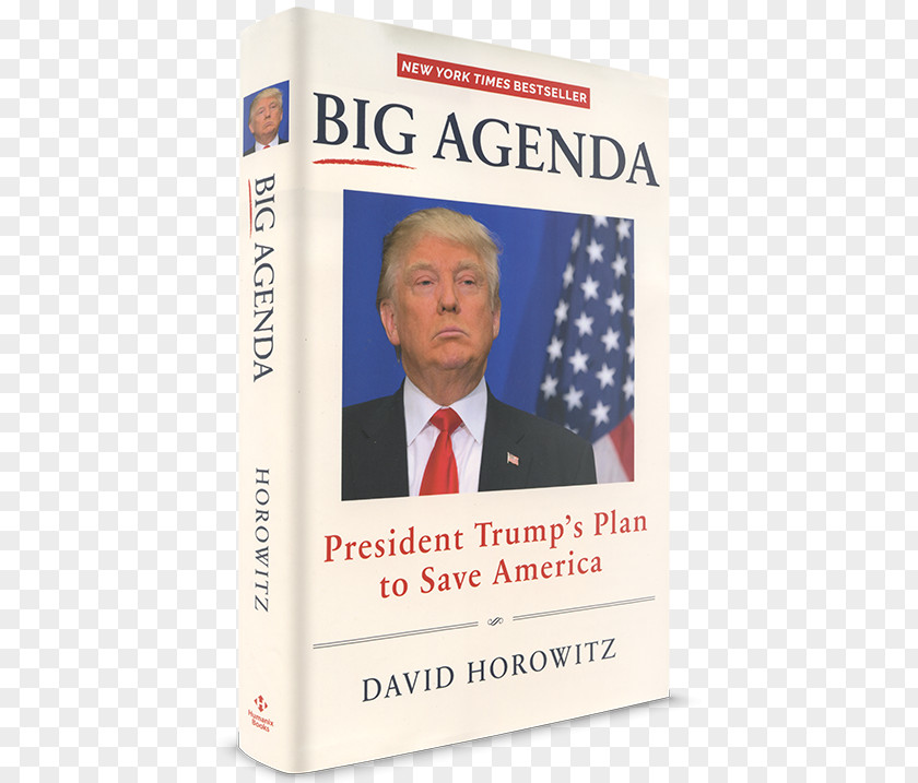Donald Trump Big Agenda: President Trump's Plan To Save America White House US Presidential Election 2016 Killing The Deep State: Fight PNG
